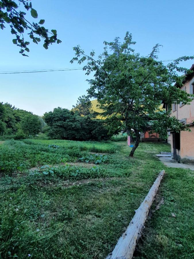 B&B Calecatine Rocca di Botte Dış mekan fotoğraf